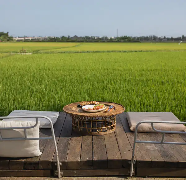 Cam Chau with green, peaceful rice fields