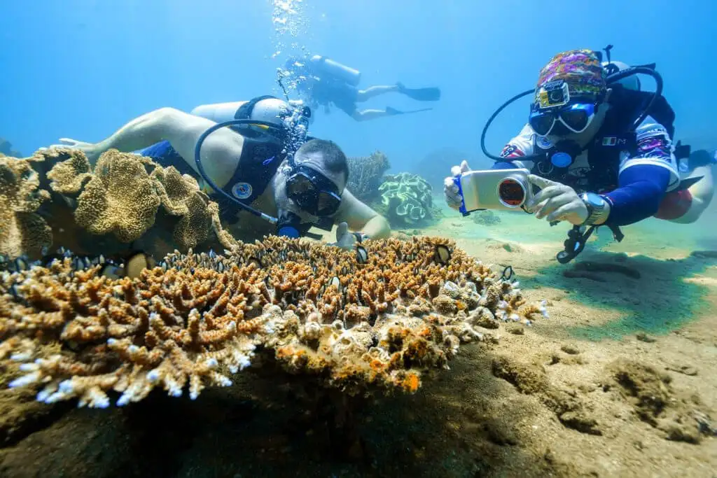 Snorkeling at Cham island