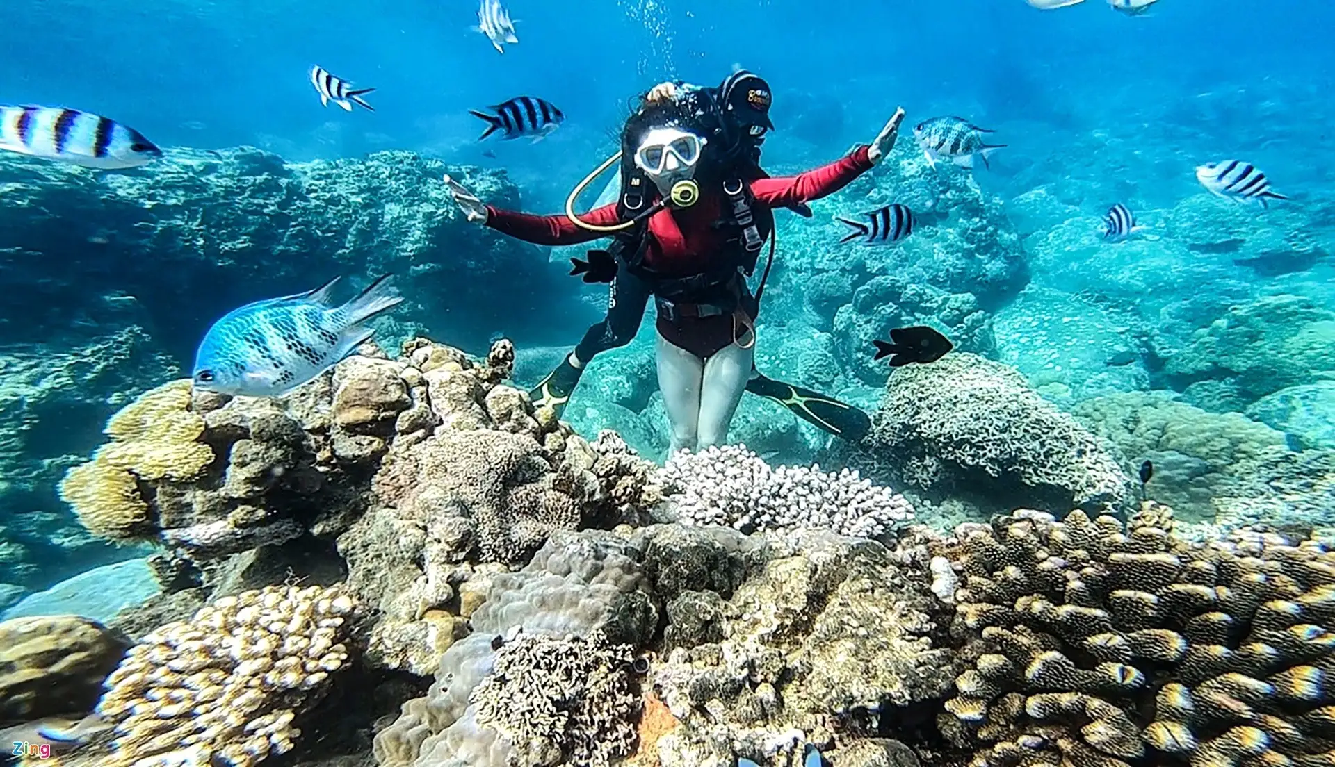 What is attractive about Cham islands snorkeling?