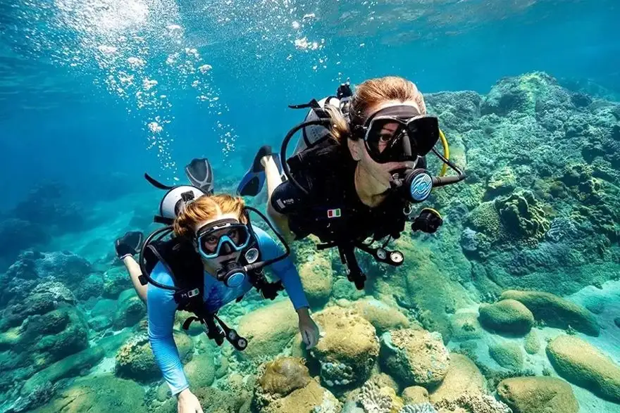 Notes for Cham islands snorkeling on coral viewing 