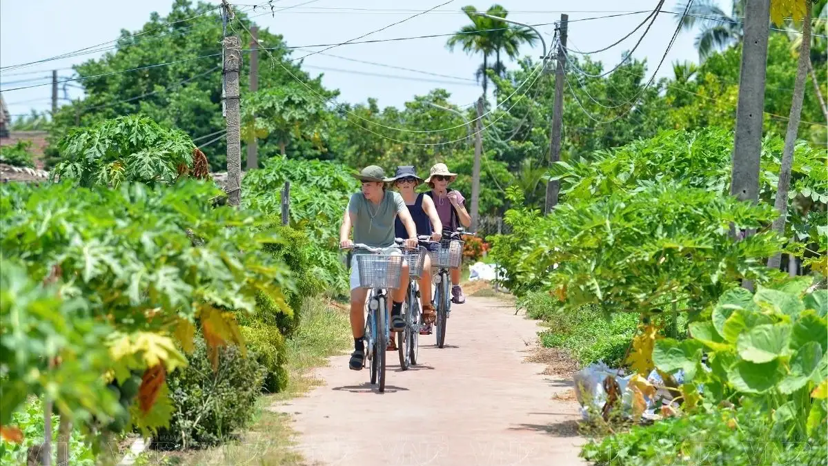 Cycling to Tra Que village (Source: danangfantasticity.com)
