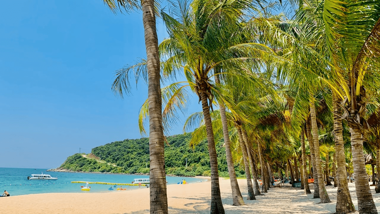 Ong Beach (Source: Da Nang RealTimes)