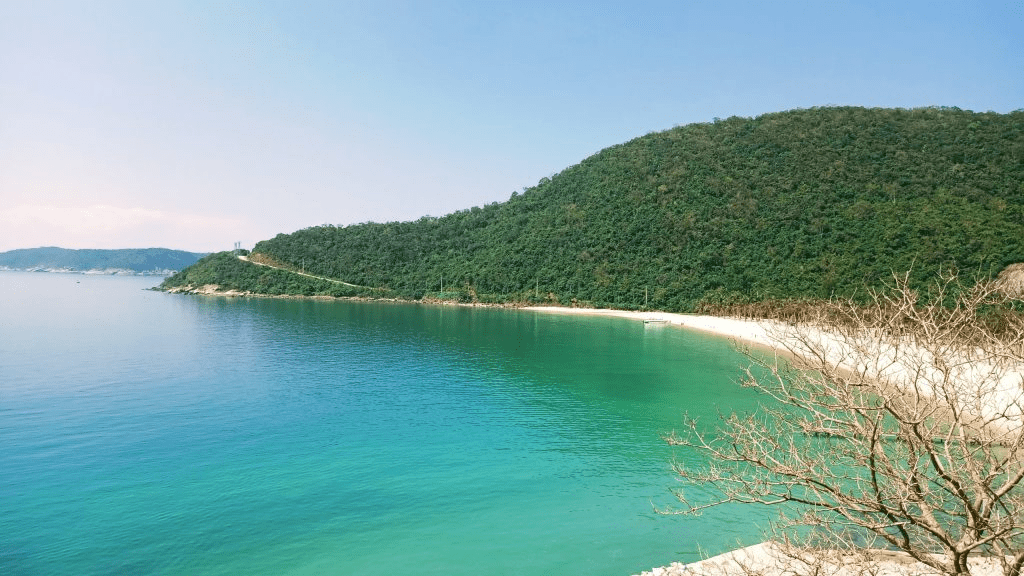 General introduction about Cu Lao Cham beach (Source: Cu Lao Cham Tour)