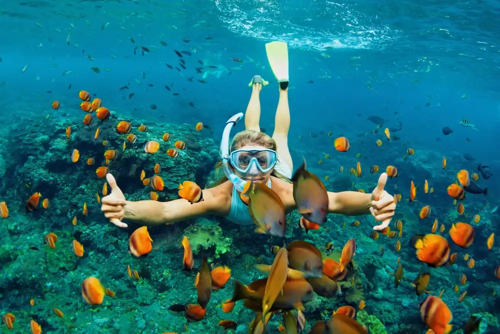 Why should you experience diving in Hoi An? (Source: Eviva Tour)