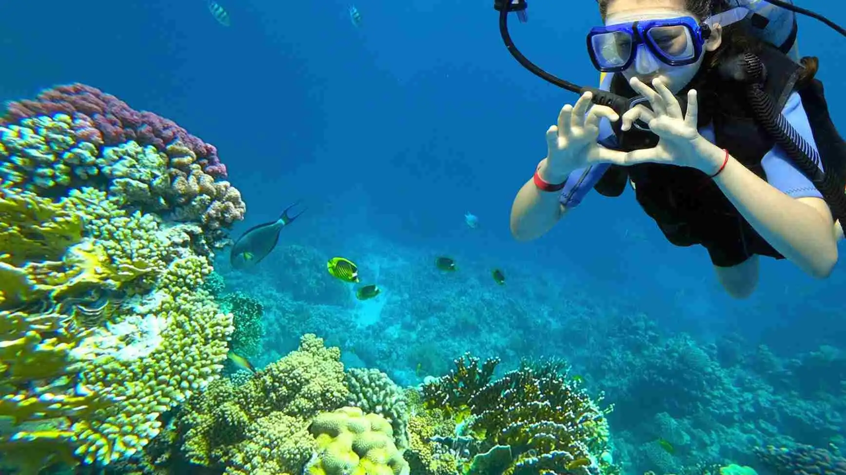 Useful tips for diving Hoi An (Source: Discover Your Vietnam)