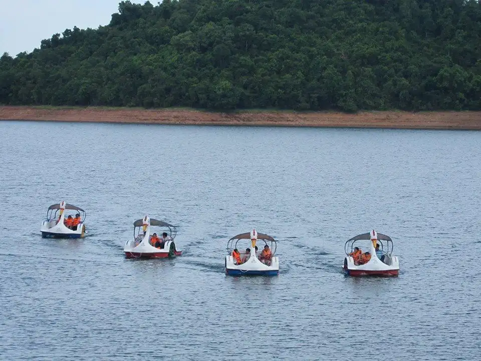 Drift through the serene beauty of the lake on swan boats, enjoying the peaceful landscape around 