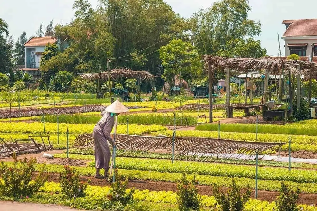 Tra Que herb village (source: backpacker wander lust)