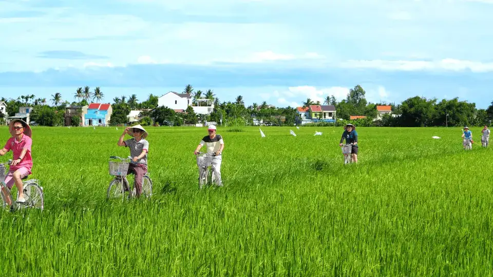 In Cam Thanh Village, they can ride bicycles through green rice fields (source: KKday)