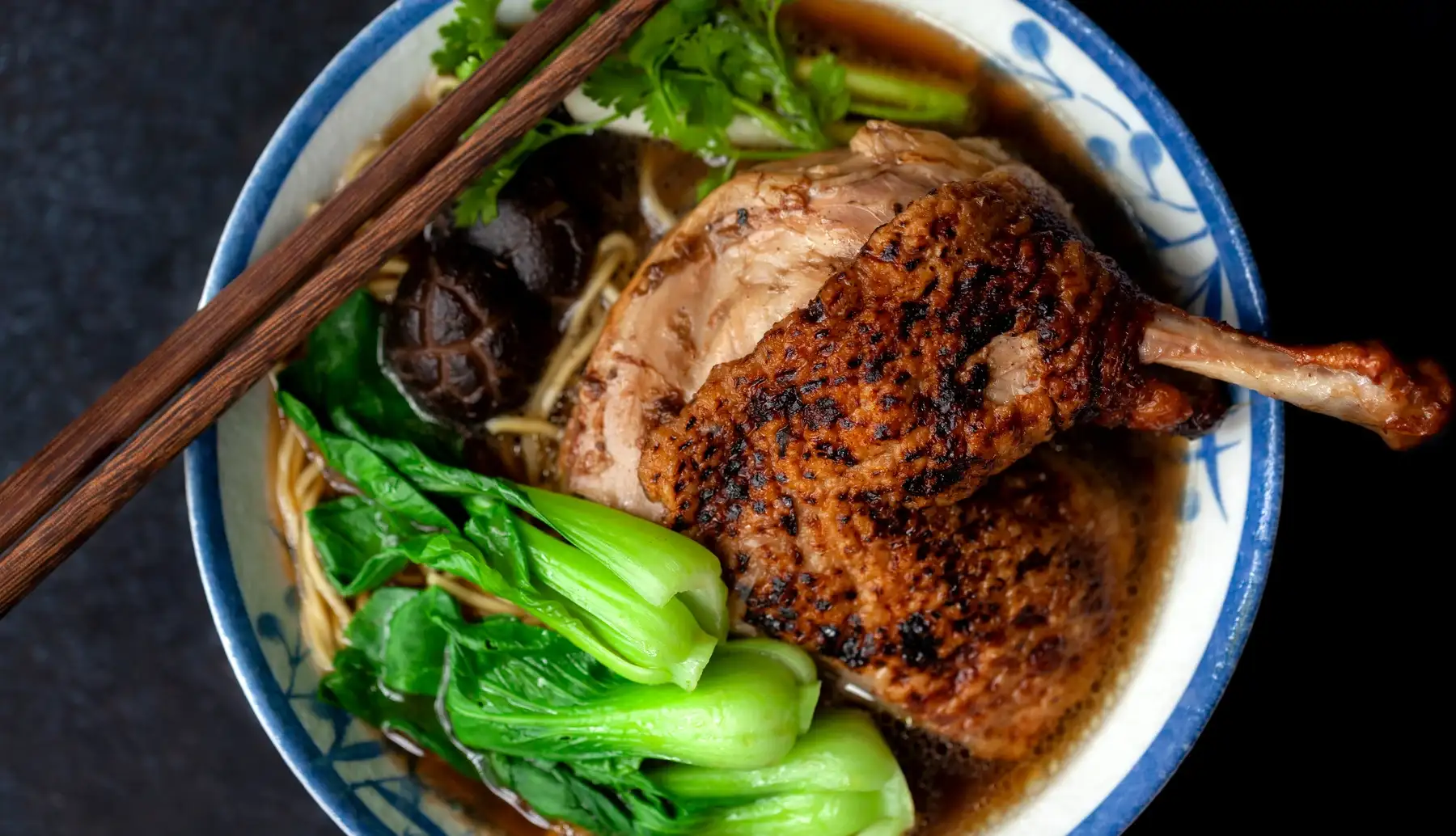 Braised duck noodles