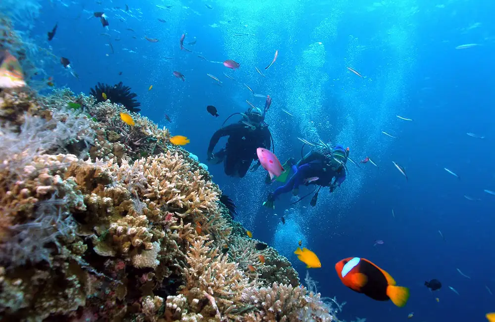 Water sports in Phu Quoc (source: Sun Home)