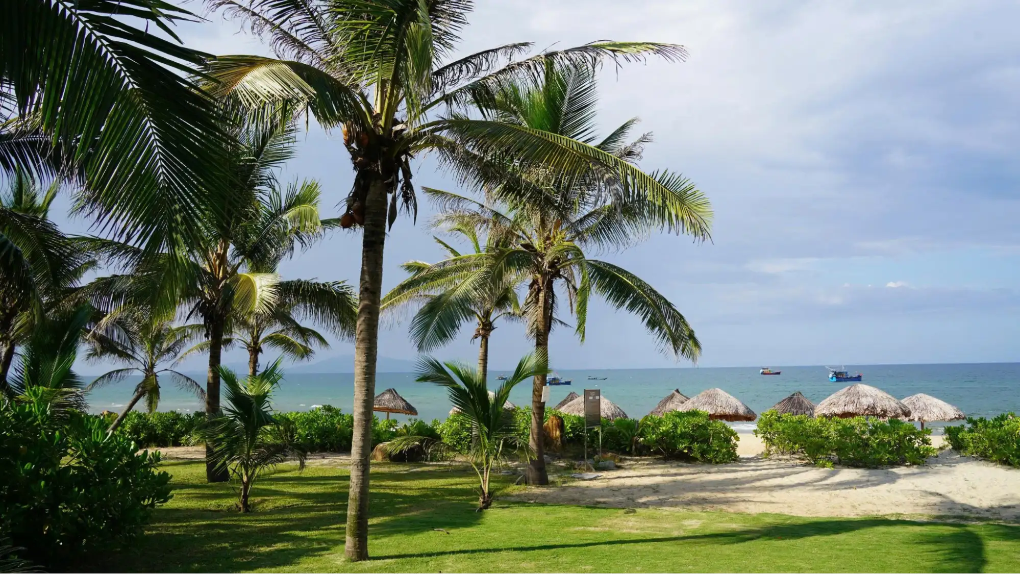 Lush coco garden
