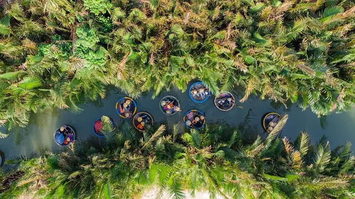 Bay Mau Coconut Forest