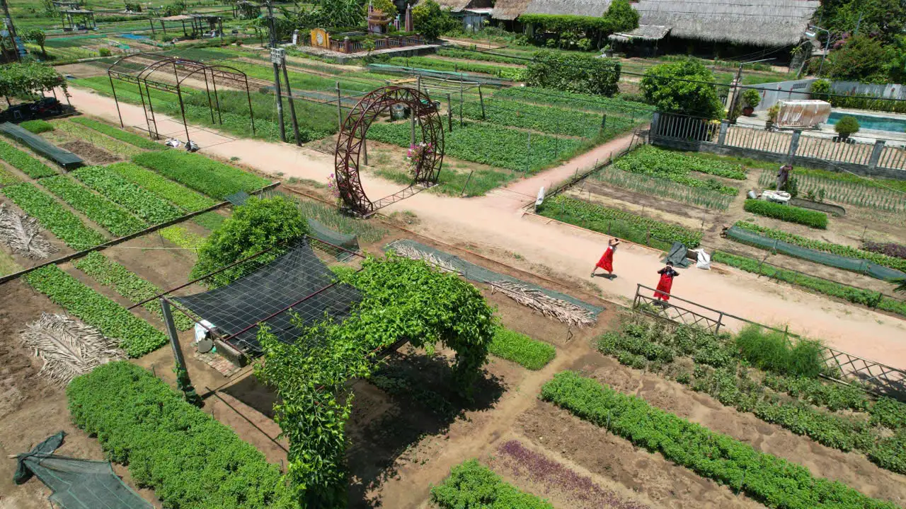 Tra Que Vegetable Village