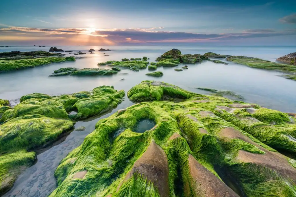 Nam O Reef (Source: Danang Fantasticity)