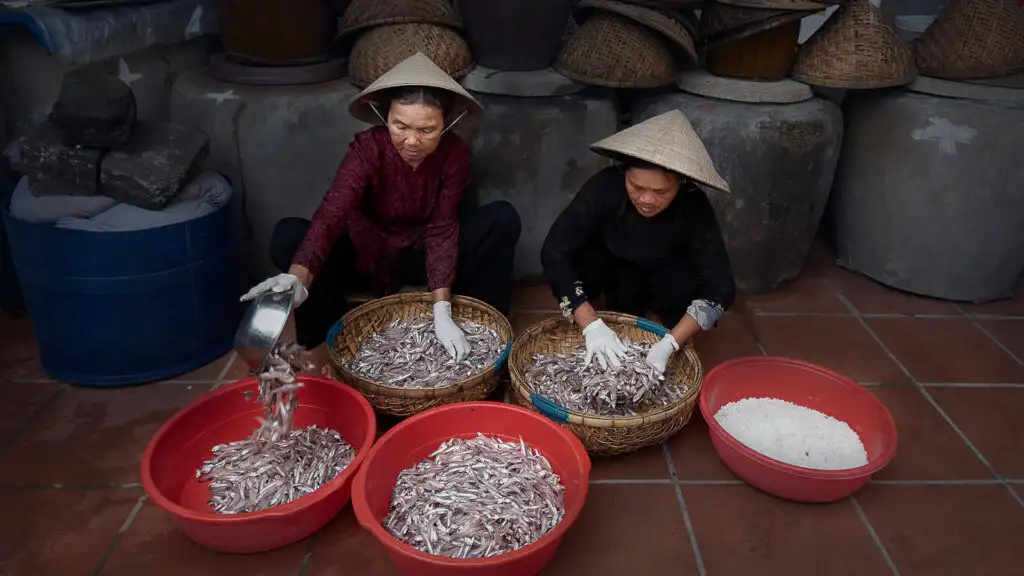 Step 2: Cleaning and draining the fish