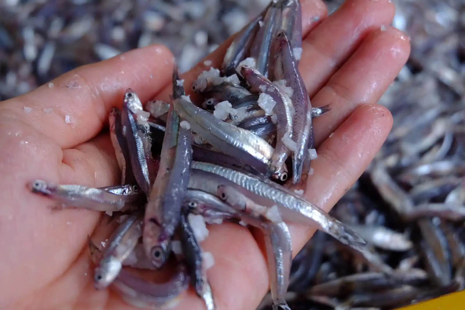 Step 1: Selecting ingredients