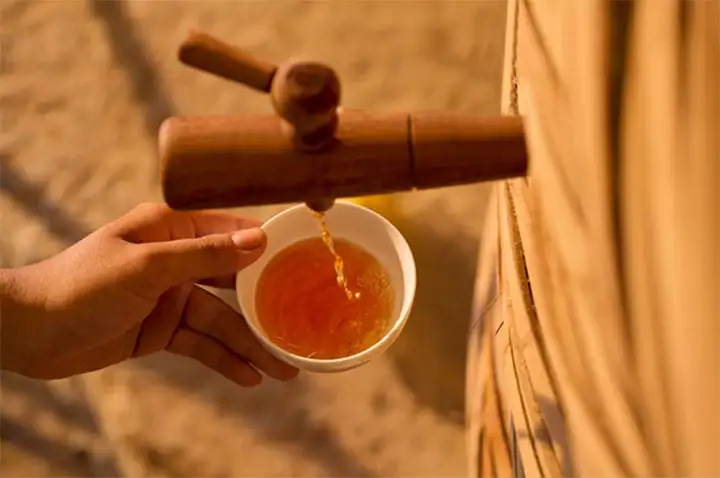 Step 5: Extracting the first press