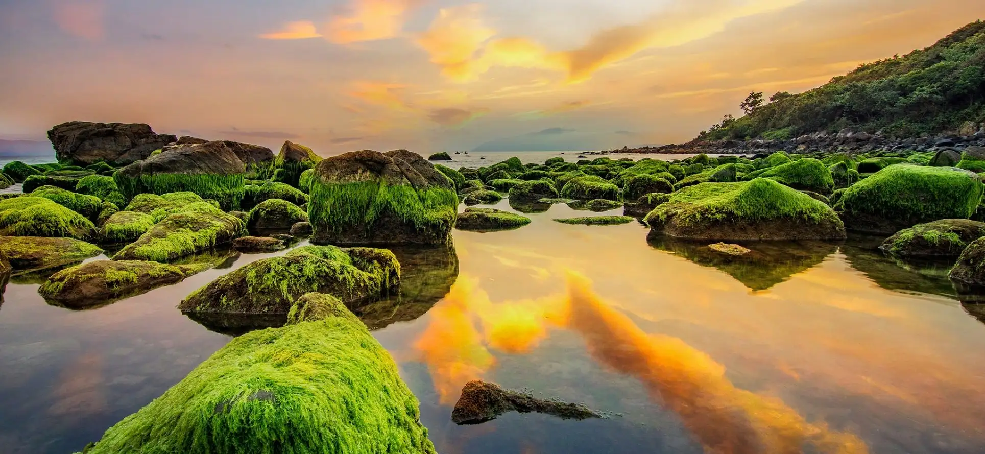 Nam O Reef - Hidden coastal gem of Da Nang with breathtaking mossy rocks