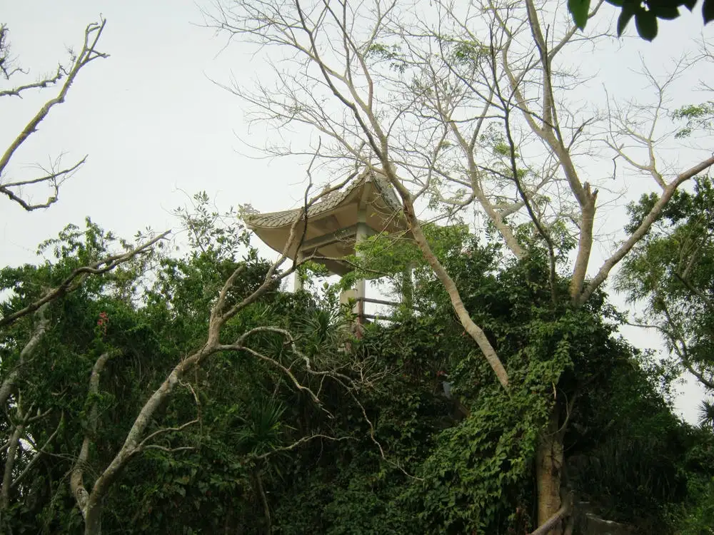 Vong Hai Dai