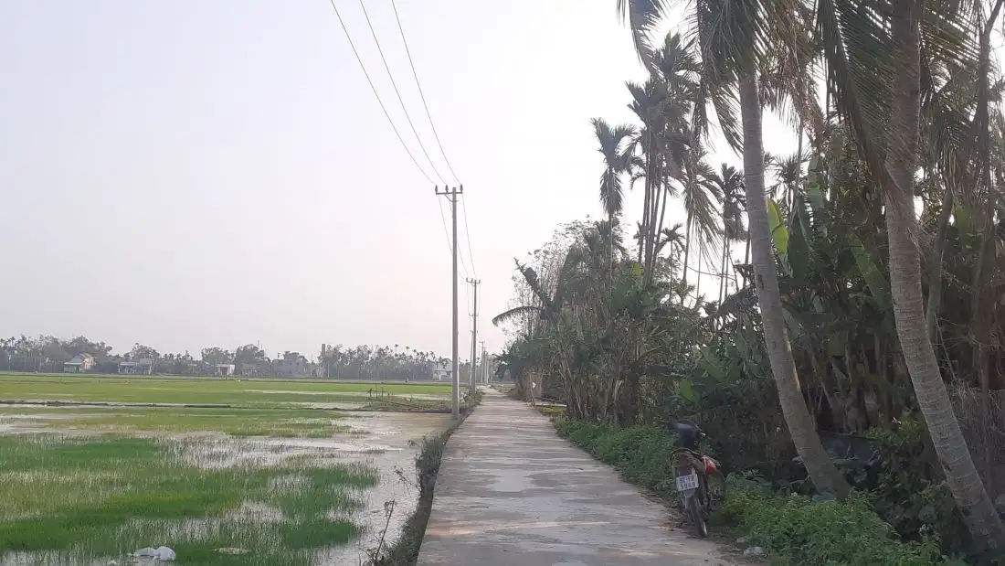 Explore local life along Vinh Dien River