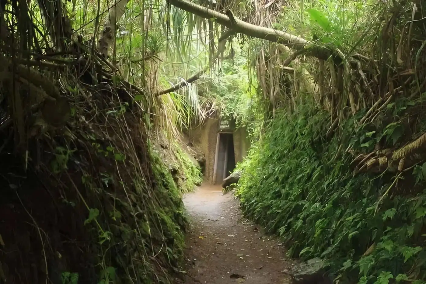 Why visit Vinh Moc Tunnels from Hoi An?