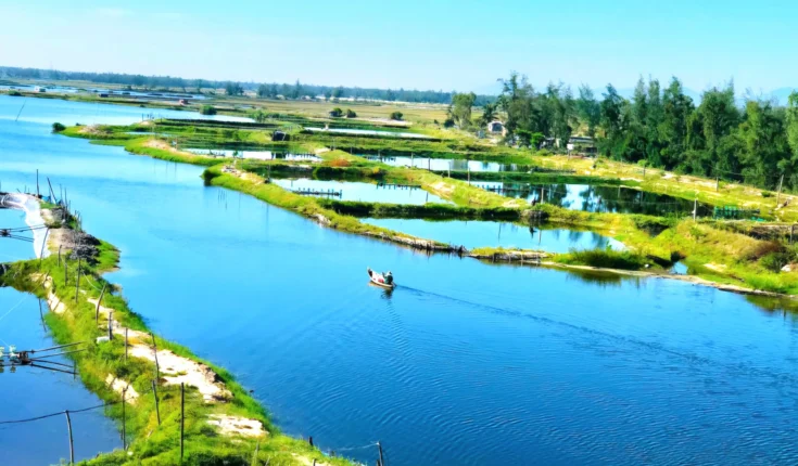 Truong Giang river: A hidden coastal gem in Quang Nam you shouldn’t miss