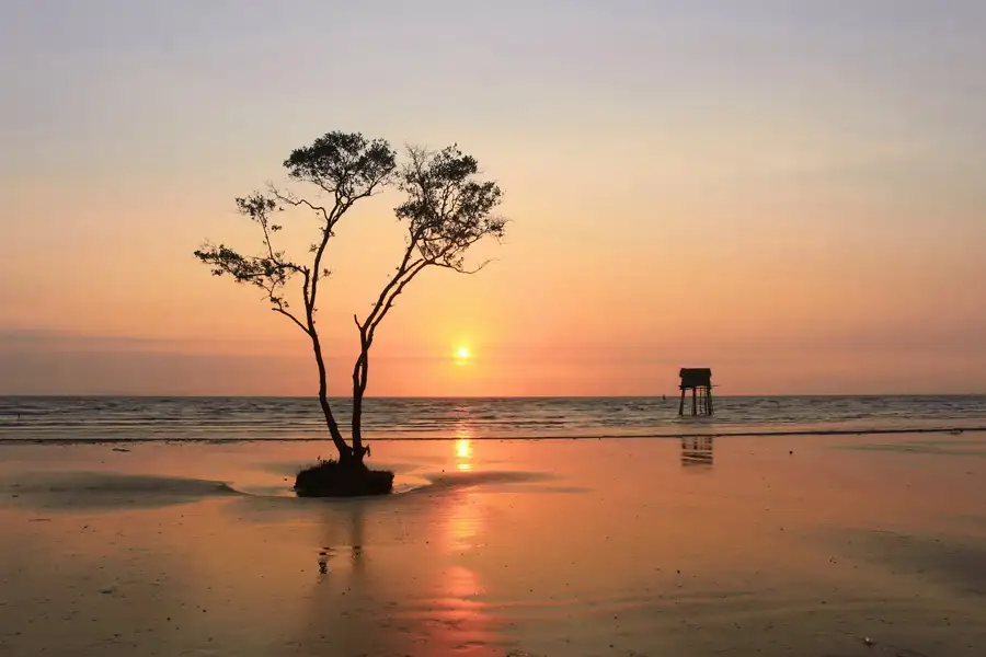 Tan Thanh Beach – A peaceful coastal escape near Hoi An