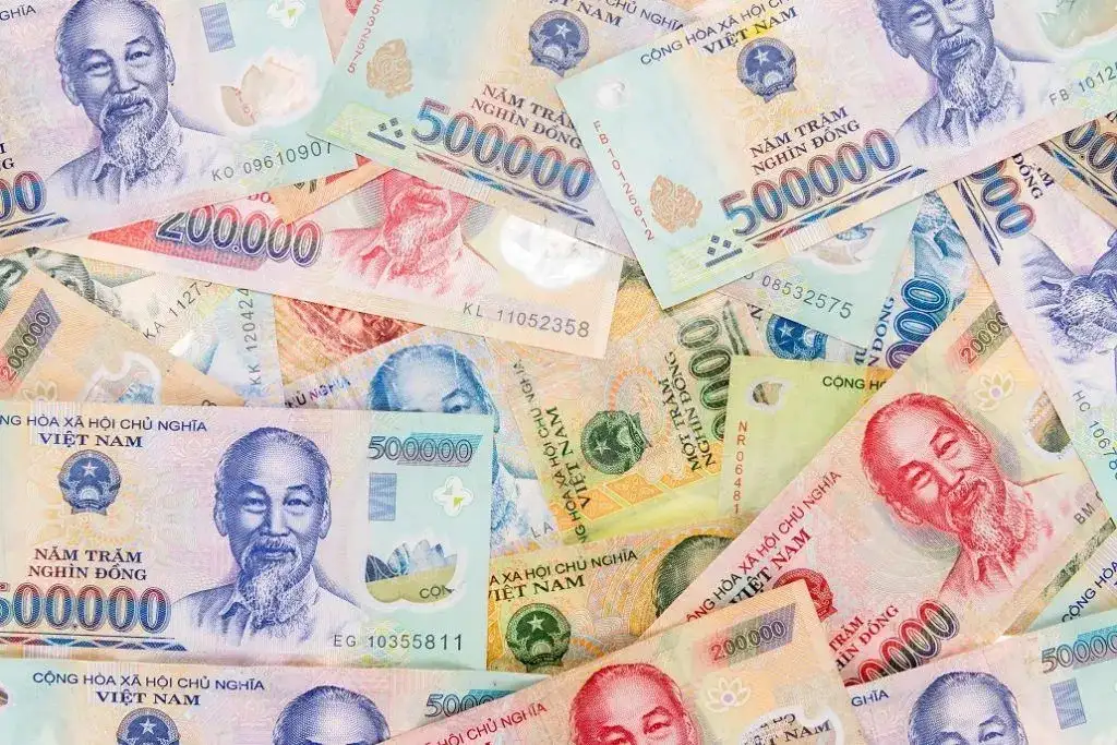 Vietnamese currency