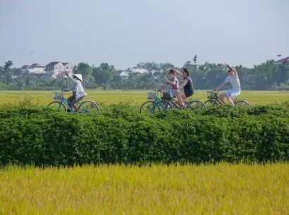 Faire du vélo à Hoi An : Un Guide Local pour Découvrir la Vraie Campagne