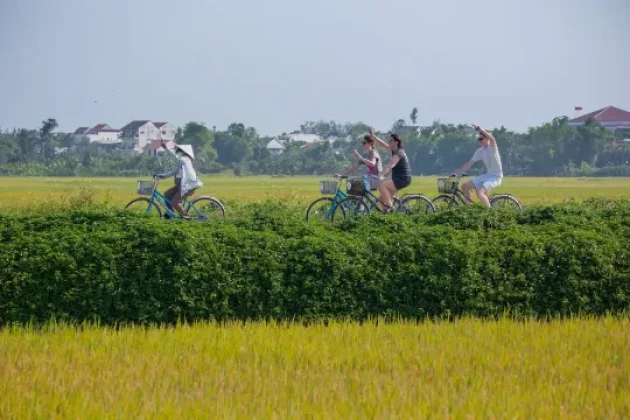 Cycling in Hoi An: A Local's Guide to the Real Countryside