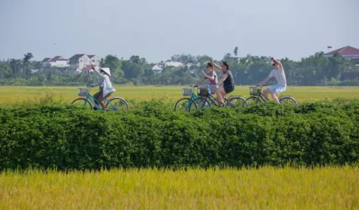 Cycling in Hoi An: A Local's Guide to the Real Countryside