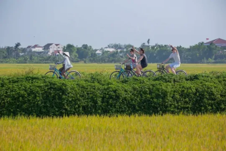 Cycling in Hoi An: A Local's Guide to the Real Countryside