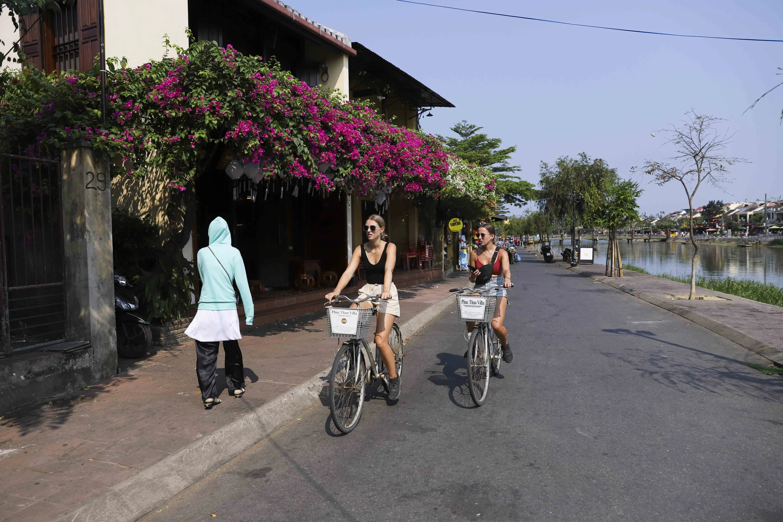 Herb beds on a morning cycling route in Hoi An