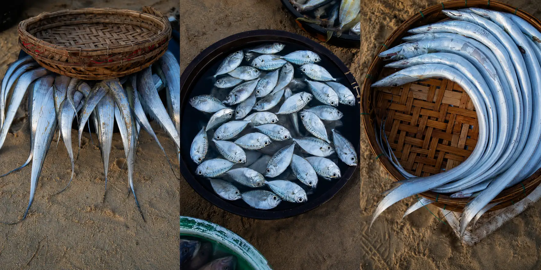 Fresh seafood from Quang Nam is available at Tam Tien fish market (Source: Collected)