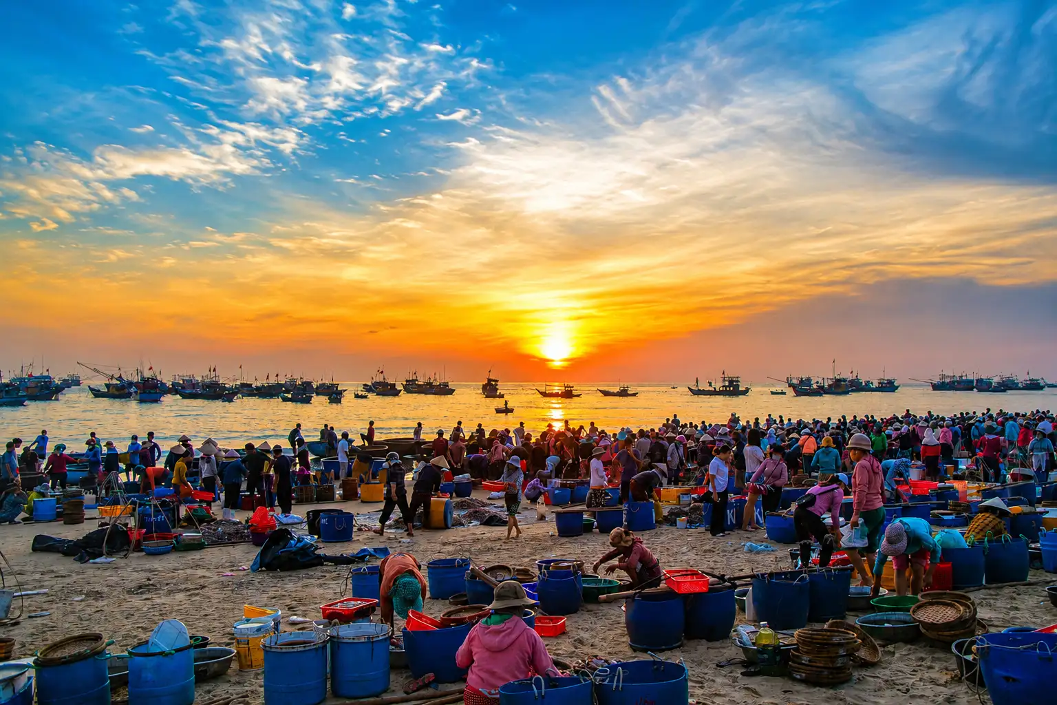 Tam Tien Fish Market: A vibrant sunrise scene in Quang Nam province