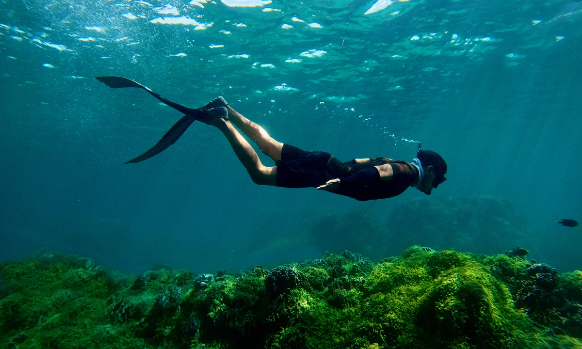 Snorkeling in Cham Island (Source: VNExpress)