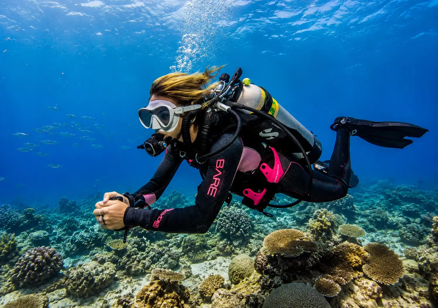 Exploring the underwater world. (Source: Collect)