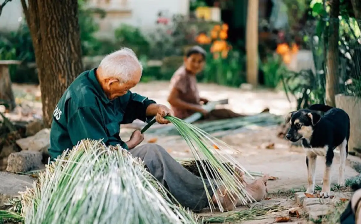 Artisans dedicated to the mat-weaving village (Source: Economy and Environment Newspaper)