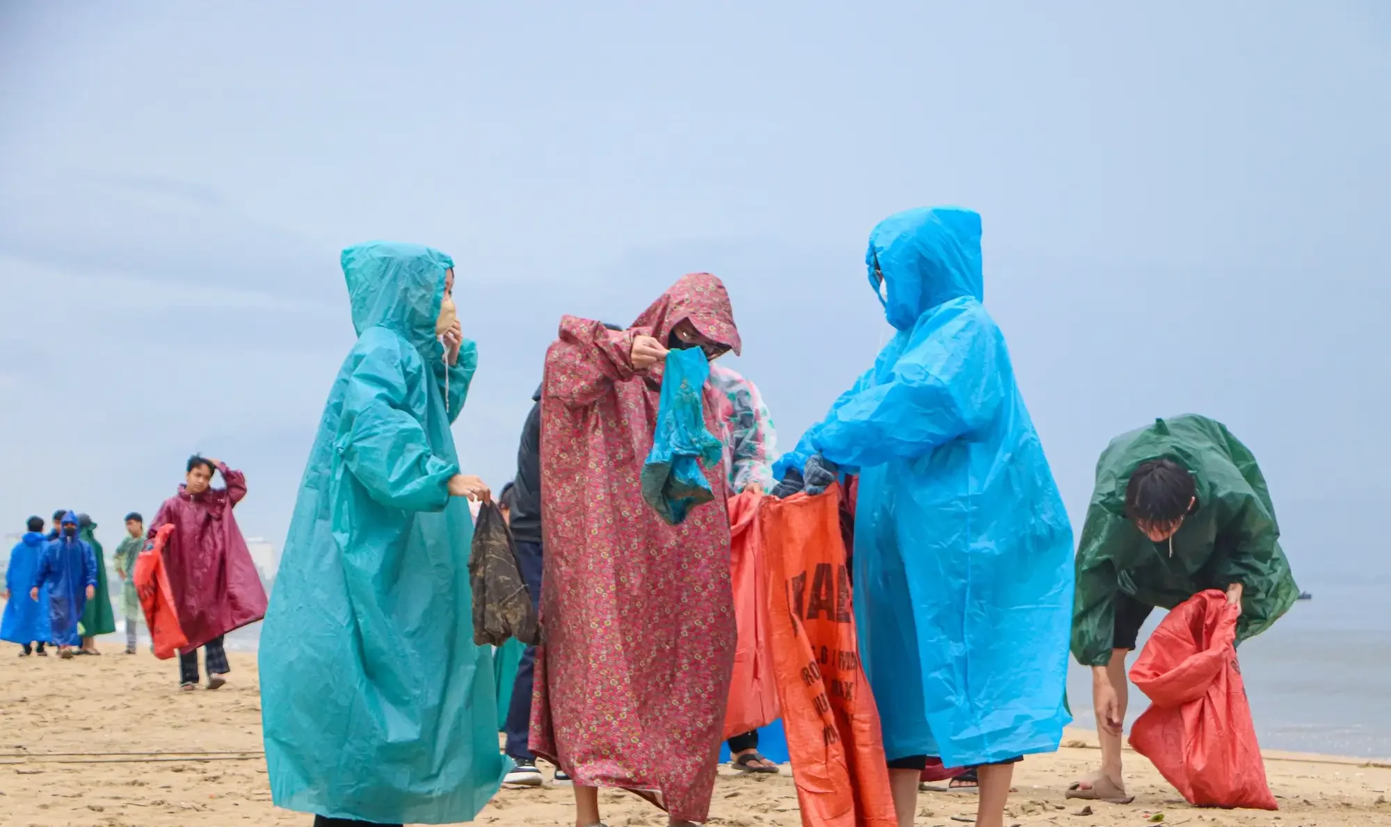 Weekly beach clean-up Green Day event (Source: Bao Tuoi Tre)