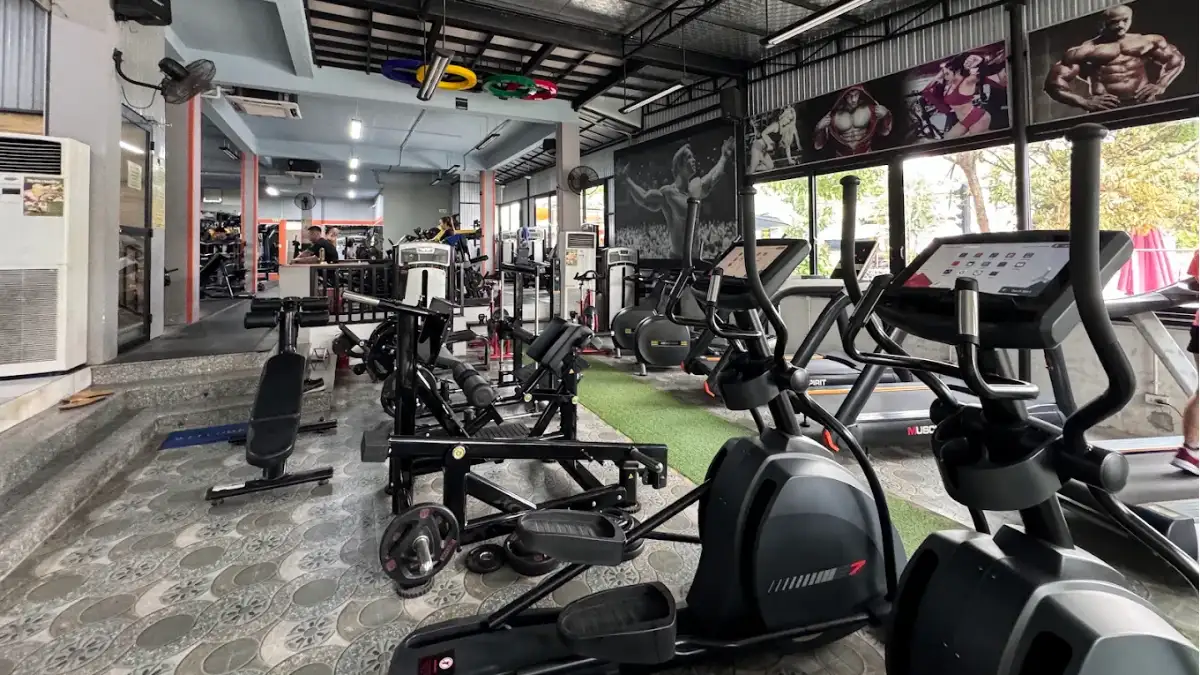 Fit Nation Gym in Hoi An with strength training equipment (Source: Fit Nation Gym)