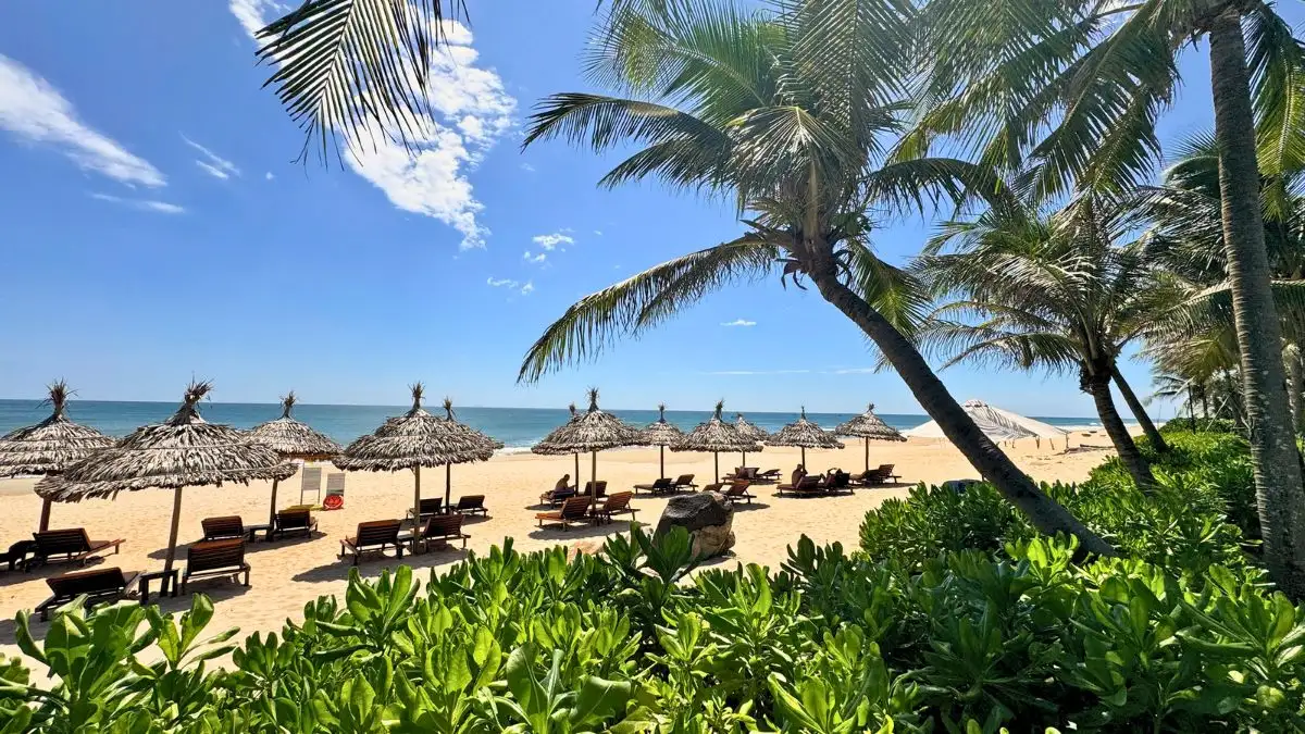 After returning from the festival, guests can relax beneath the rows of coconut trees within the resort grounds
