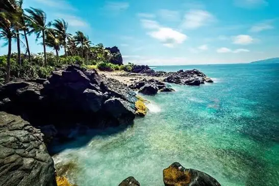Each of time always has special things make visitors come to Ly Son Island (Source: Collected) 