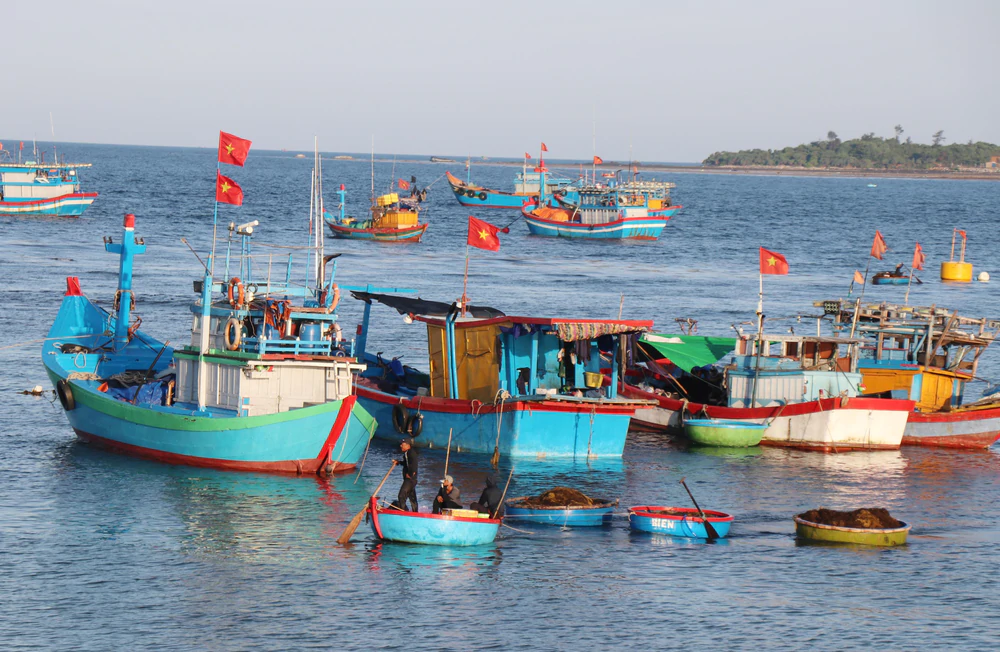Phuoc Thien Fishing Village: A quiet glimpse of coastal life in Vietnam