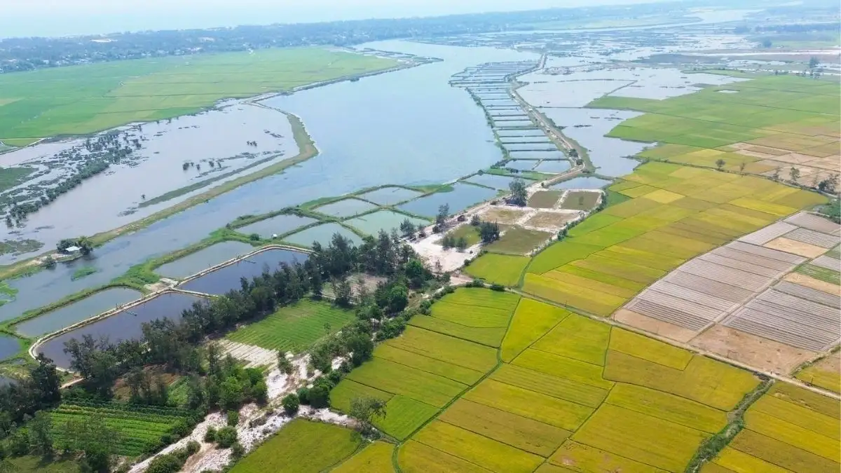 Truong Giang vs Thu Bon: Which river Is better for a boat trip?