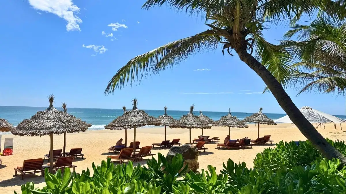Start the morning at Bliss Hoi An by relaxing beneath the coconut trees