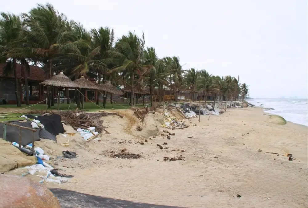 Cua Dai Beach faces coastal erosion, with seawalls along parts of the shoreline (Source: Vietnam Net)