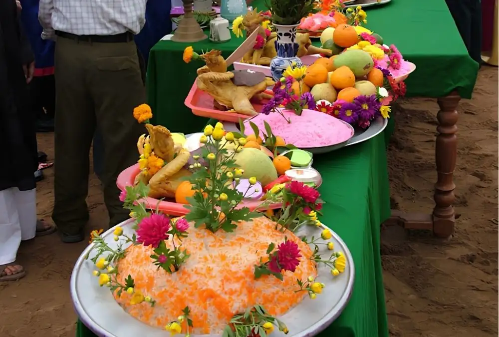 Traditional chicken and pink sticky rice offerings at Tra Que's Cau Bong Festival (Source: hoianheritage.net)