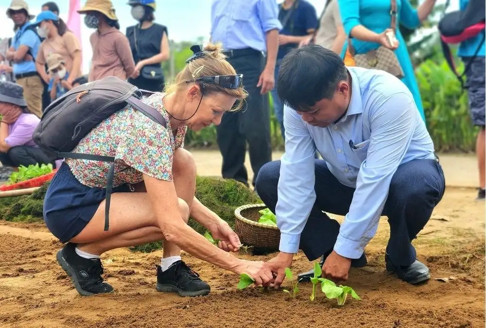 Visitors plant vegetable seedlings with local farmers during the Cau Bong Festival (Source: vietnamtourism)