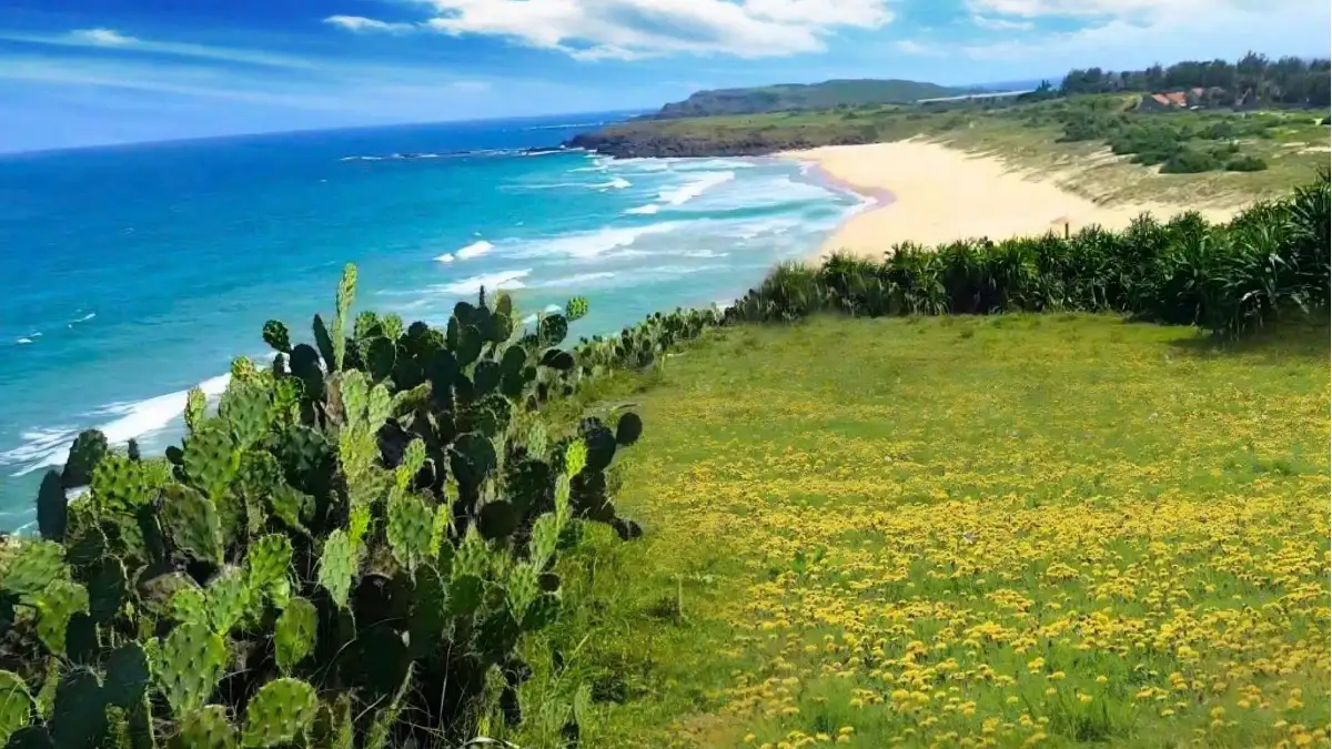 Bai Xep is one of the first places to explore after reaching Phu Yen (Source: VTC News)