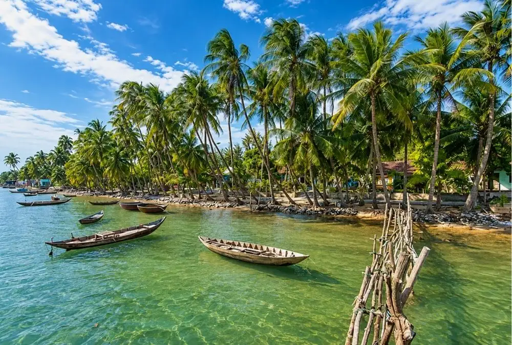 The landscape of Tam Hai Island is distinguished by lush green coconut groves stretching along the beach (Source: Bao Hai Quan Viet Nam)